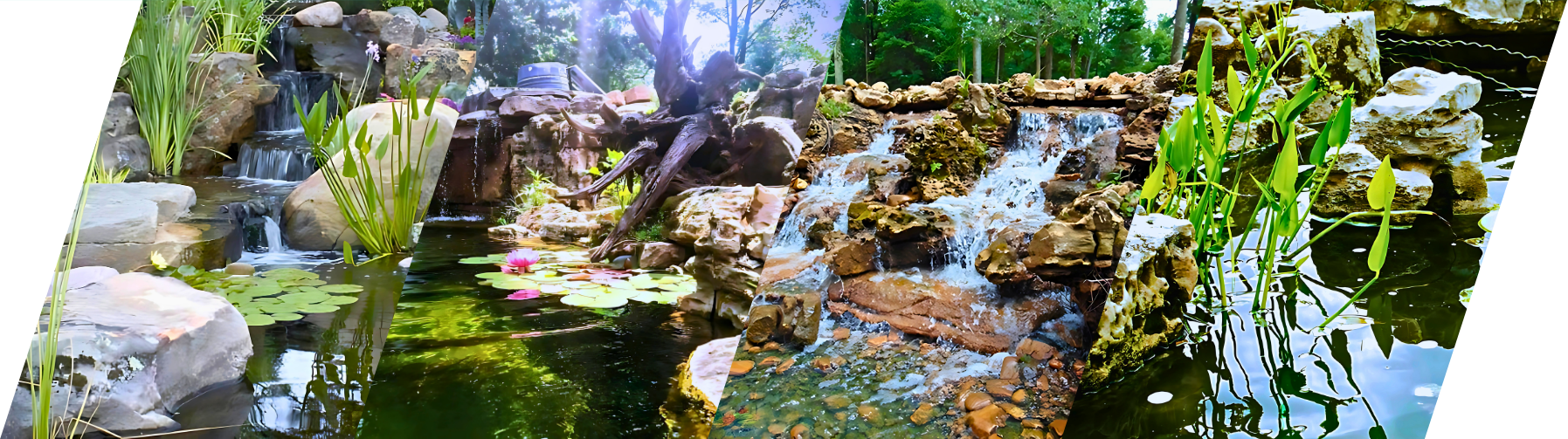 Aquascape Scenery Bottom