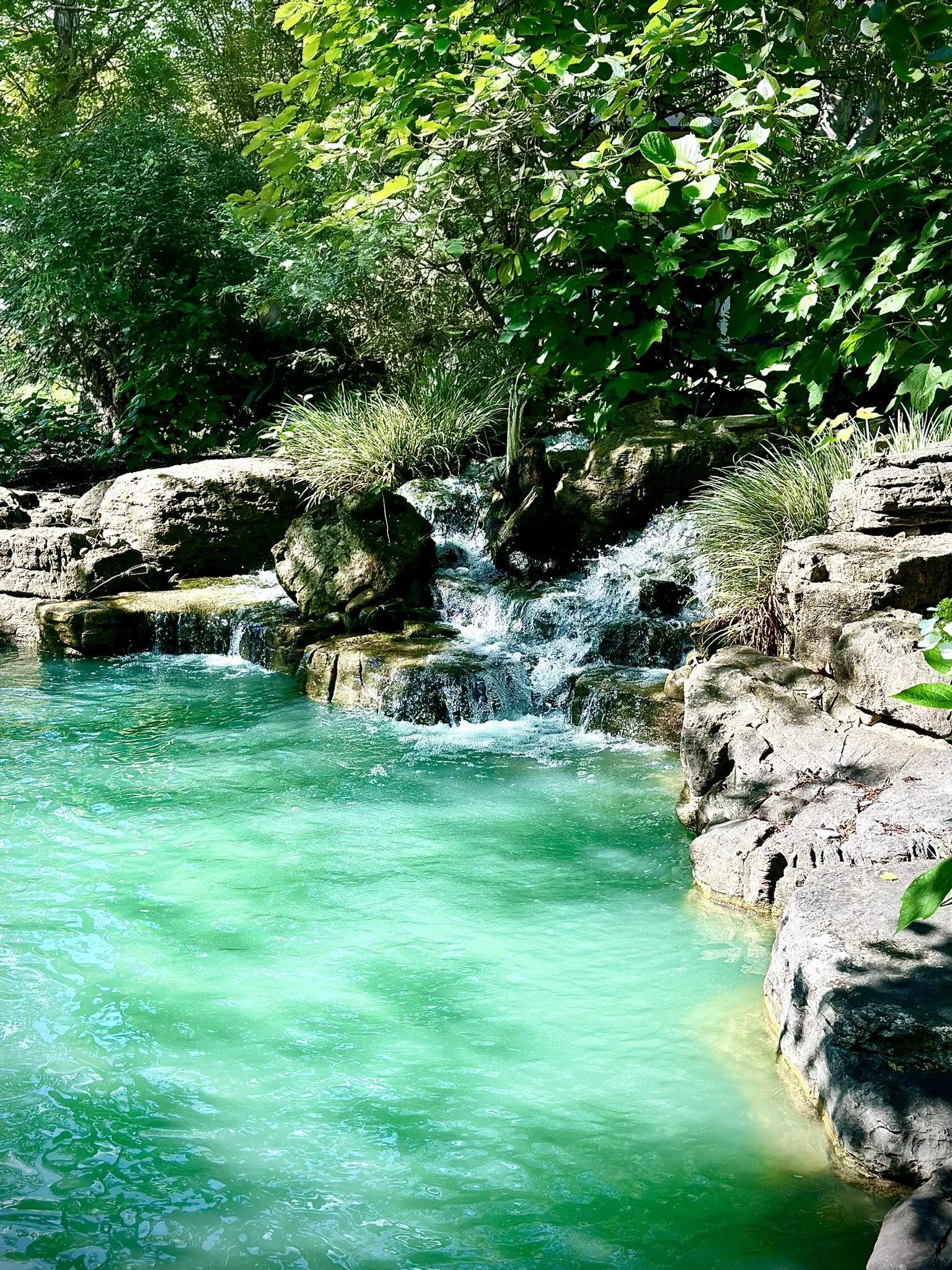 meyer aquascapes custom feature installation