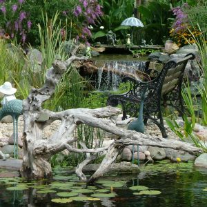 Koi Pond Installation