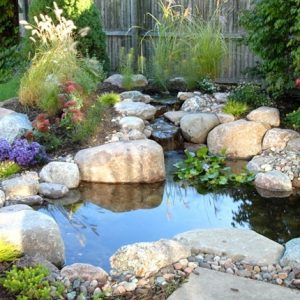 Water Garden Maintenance in Cincinnati, Waterfall Contractor
