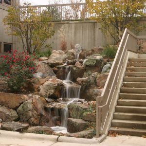 Maximizing Space: Small-Scale Water Garden and Pond Designs