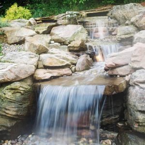 Water Gardens in Cincinnati
