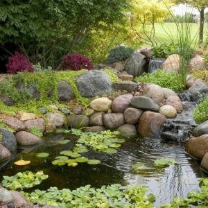 Automated Water Features: Effortless Elegance