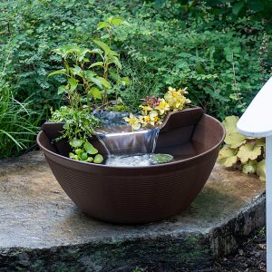 Water Garden Kit Ideas
