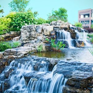 Dynamic Water Features