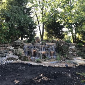 water garden