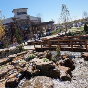 DIY Water Garden Construction Guide