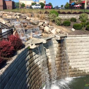 Pond Renovation Services: Revamp Your Water Garden with Meyer Aquascapes