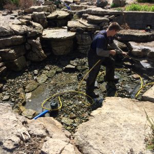 Drain a Water Garden