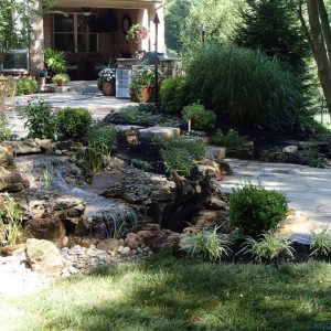 aquascape spring cleanout