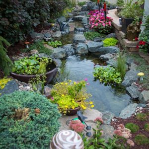 DIY Pond Maintenance 101 guide