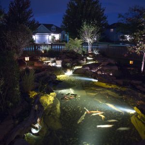Aquascape Pond and Landscape Lighting