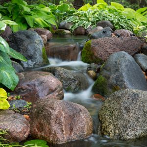 Our Favorite Water Feature Ideas