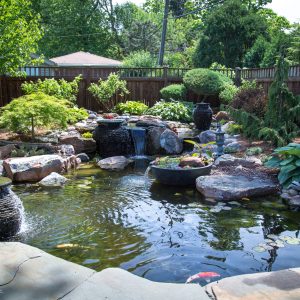 Fish Pond Guide