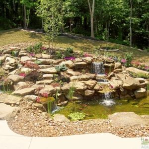 Installing a Backyard Pond, Vault Depth Guide: Understanding the Importance of Depth in Water Features