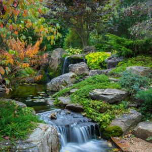 What is a Big Pond Water Feature?