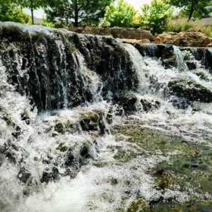 Why You Should Invest in a Water Garden Installation
