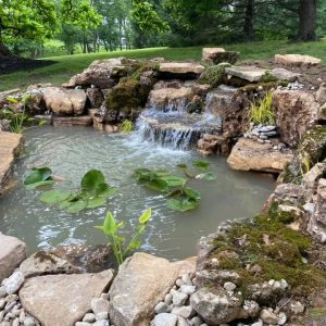 water garden