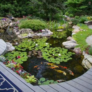 5 Helpful Waterscaping Tips