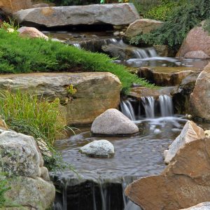 Solving Common Pond Problems: Troubleshooting Algae, Leaks, and More
