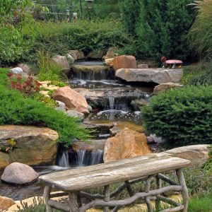 Aquascaping Essential Tools