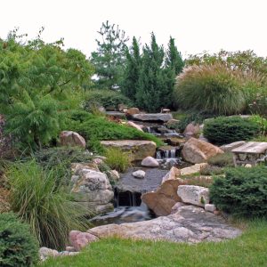 Water Garden & Backyard Spring Cleaning