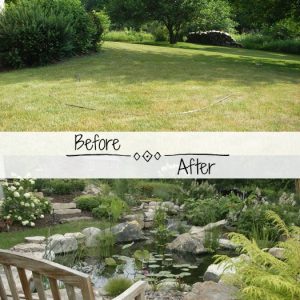 Learning How To Build A Water Garden In Your backyard