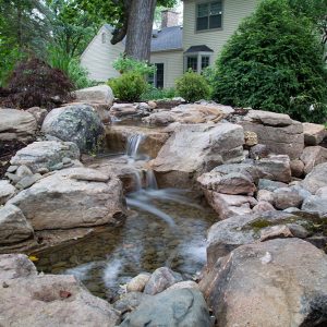 Top 10 Tiny Garden Pond Ideas