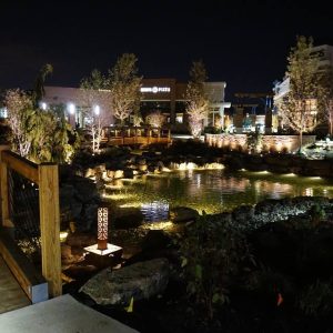Submersible Pond Lighting