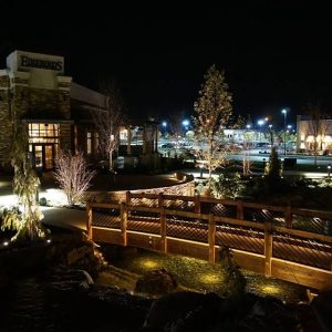 Water Feature Lighting