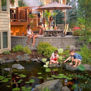 Aquascaping, Pricing and Pond Ideas