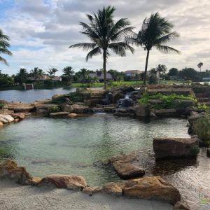 Most Popular Pond Products