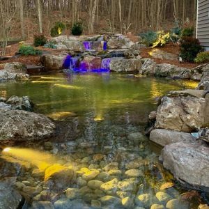Beyond Beauty: Enhancing Cincinnati’s Ecosystem with Backyard Ponds