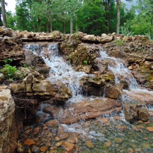 Pondless Water Garden 