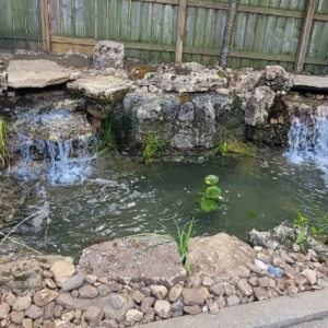 Benefits of a Pond on your Landscape