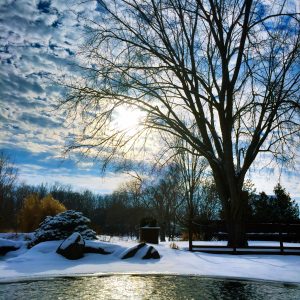 How To Heat Your Pond in Winter