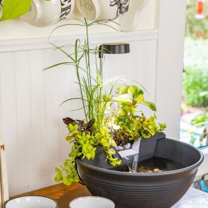 Aquascape Aquagarden Tabletop Fountain Kit - Gray