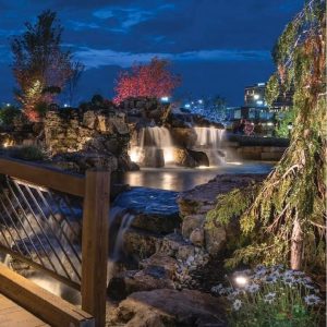Backyard Lighting Ideas For Ponds and Pond Waterfalls