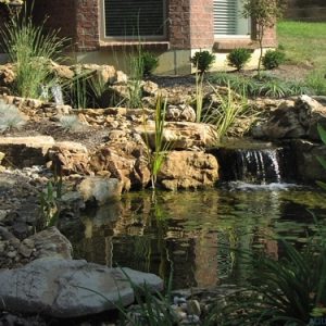 Pond Water Testing Large Pond with Weathered Limestone Boulders 
