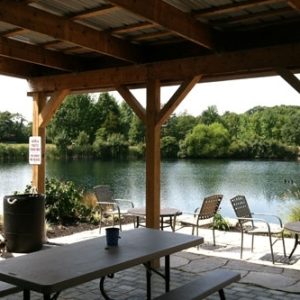 Large Swimming Pool for Garden Ideas