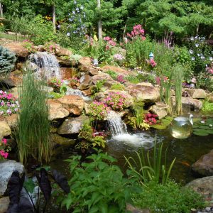 Importance of Spring Cleaning your Water Garden