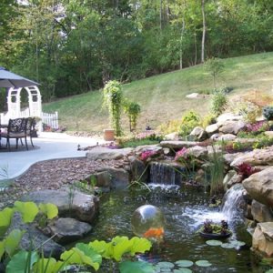 Koi Pond Contractors