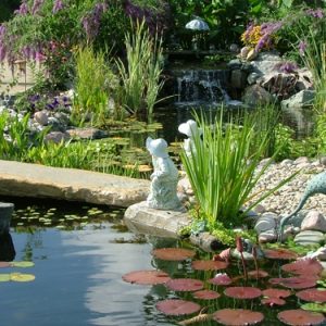 Pond Installation Cincinnati