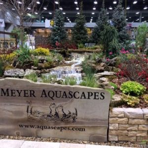 Balancing Water Garden Ecosystems