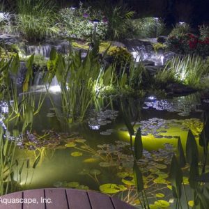 Water Feature Lighting