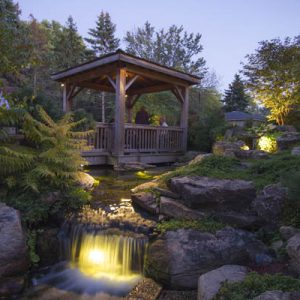 Quick Pond Tips and Tricks