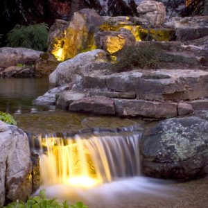 What Kind of Pump Do I Need for a Small Fish Pond?