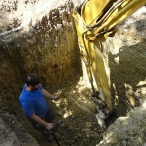 natural swimming pool filtration system