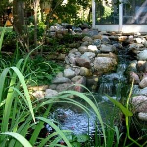 Beautify Your Water Garden: Tips and Ideas for a Stunning Outdoor Oasis