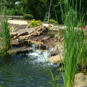 10 Garden Design Ideas